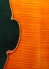 Violin Back - Woodgrain